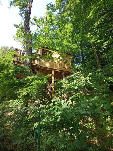 Agroturismo Cabanes Dans Les Arbres Du Lac