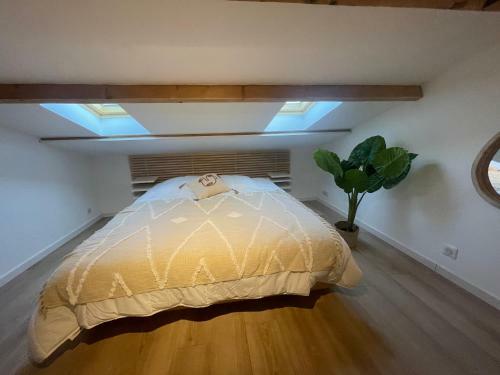 Apartamento Lou Cigalas