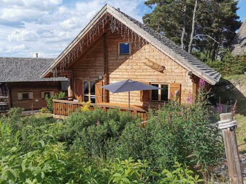 Agr�able Chalet � La Joue Du Loup