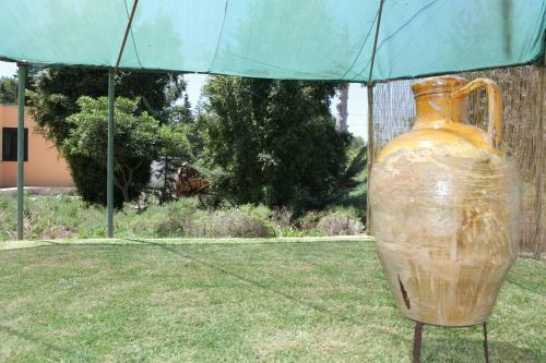 Agroturismo Agriturismo Il Pavone