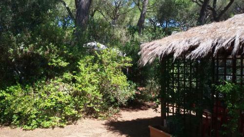 Camping Village Il Sole