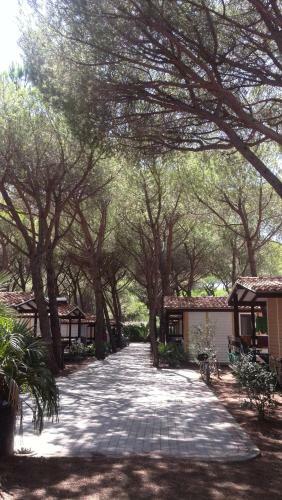Camping Village Il Sole