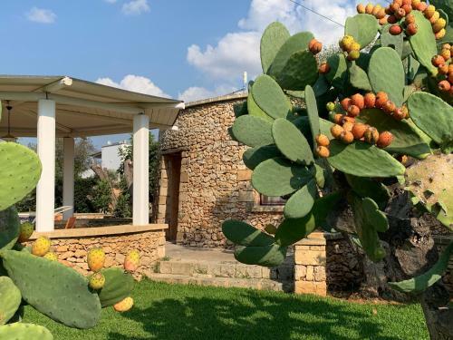 Apartamento Borgo Rosso Terra
