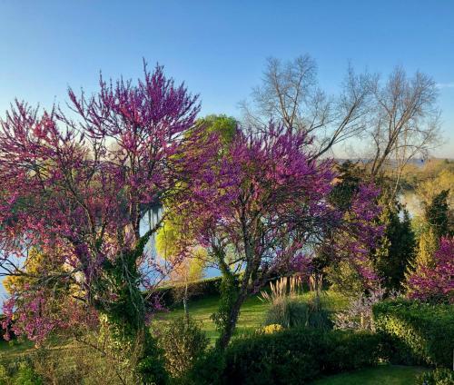Apartamento La Suite A Chateau Franc Daut