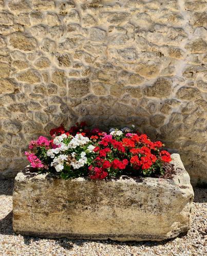 Apartamento La Suite A Chateau Franc Daut