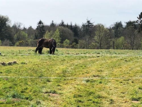 Merveilleux Cottage Dans Parc De 7,5 Hectares