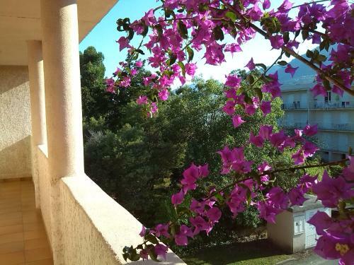 Apartamento Cala Di Sognu