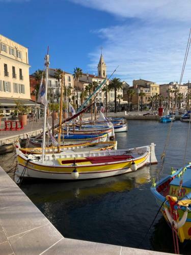 Apartamento Nice 50m With Terrace In Sanary-sur-mer