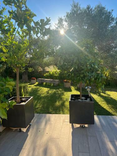 Bed & Breakfast Chambre D'h�tes La Vidourle