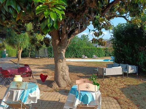 Bed & Breakfast Le Magnolia, Chambre D'h�te Au Calme
