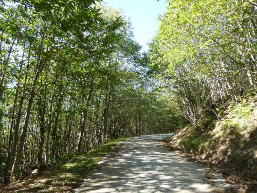 Apartment Tana Dell Istrice Cutigliano I
