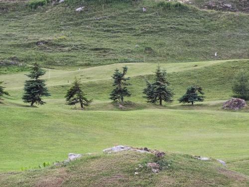 Apartamento Chalet Club Val Claret 1 46