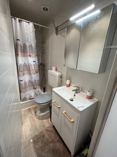 Apartamento Studio Hyper Centre , Colombette