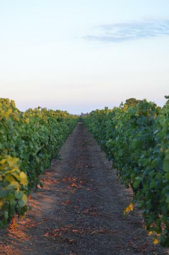 Agroturismo Masseria Montedoro