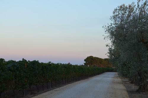 Agroturismo Masseria Montedoro