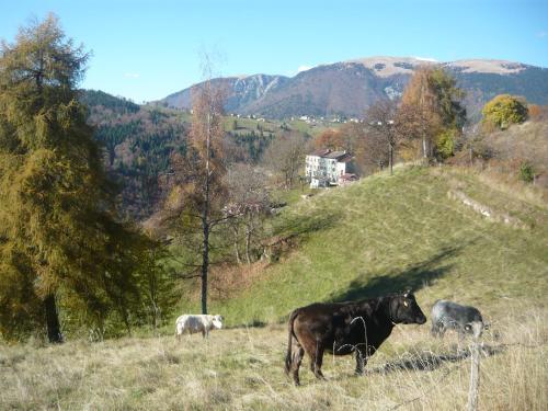 Hotel Belvedere