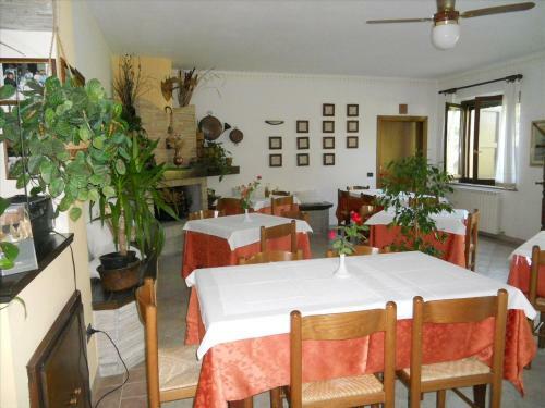 Agroturismo Agriturismo La Selva