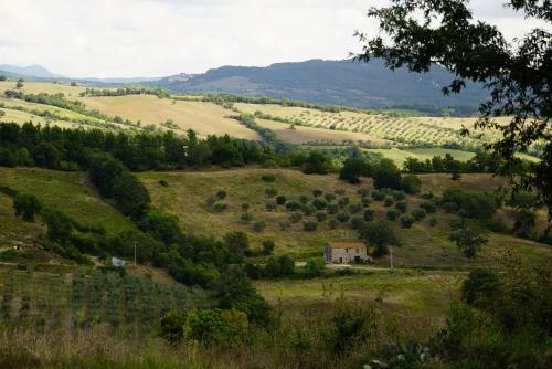 Agroturismo Agriturismo Il Fantone