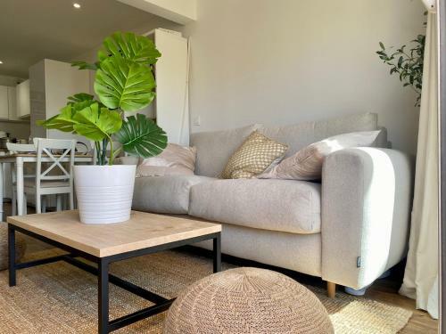 Apartamento Terrasse Vue Mer 2 Pi�ces � Leucate Avec Piscine
