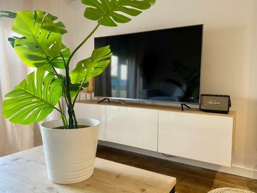 Apartamento Terrasse Vue Mer 2 Pi�ces � Leucate Avec Piscine