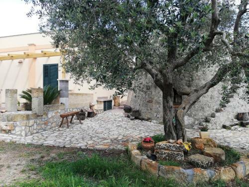 Casa Tra Gli Ulivi.