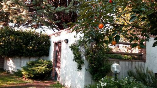 Bed & Breakfast La Filagna Country House