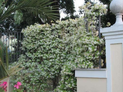 Villa Elisa B&B