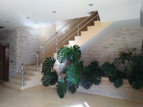 Apartamento Marina Dor 1� L�nea Planta 9