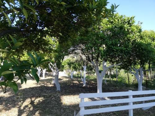 Bed & Breakfast Manavita