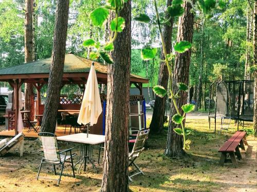 Lodge Domki Letniskowe Maja