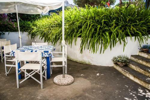 Hotel Meson Feliz