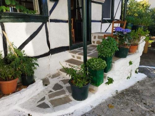 Lefkada Villas Panoramic