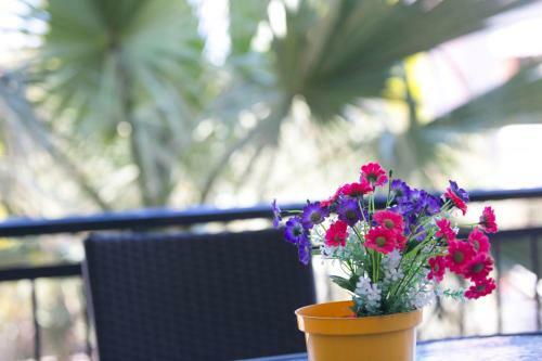 Apartamento Pashalia House