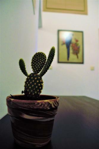 Apartamento Asia's Place