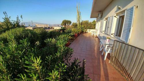 Maria & Zachos House