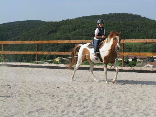Bed & Breakfast Paglia E Fieno