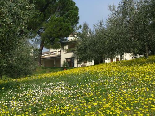 Bed & Breakfast Paglia E Fieno