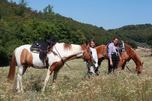 Bed & Breakfast Paglia E Fieno