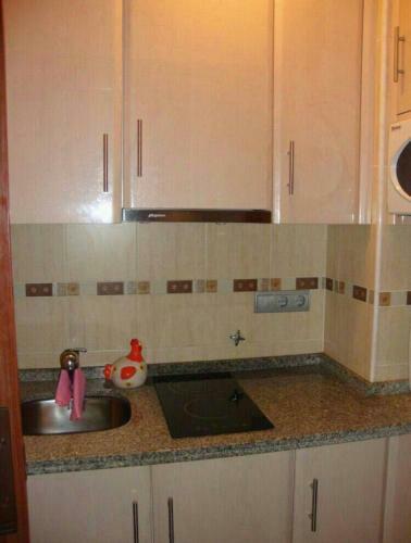 Magn�fico Apartamento 3 L�nea Playa Y Piscina