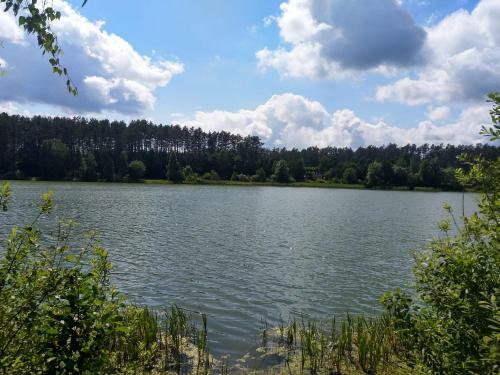 Lodge Domki Letniskowe Szczycionek