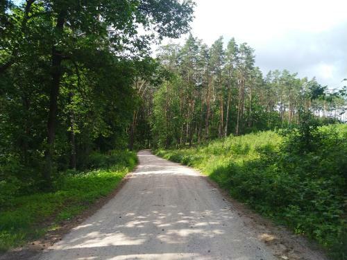 Lodge Domki Letniskowe Szczycionek