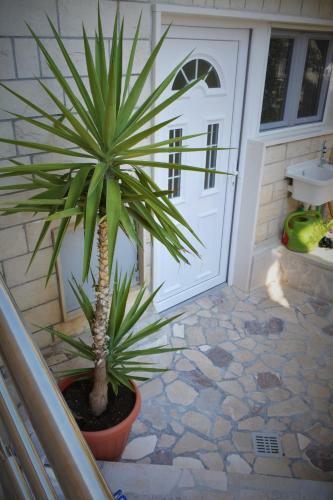Apartmani Mate
