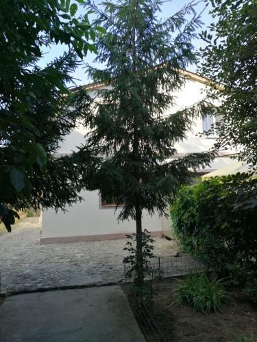 Hostal Vila Mirela Costinesti