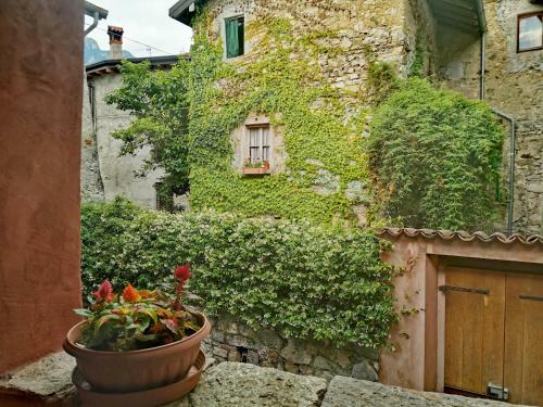 Alla Torre Del Barbarossa B&B Foresteria