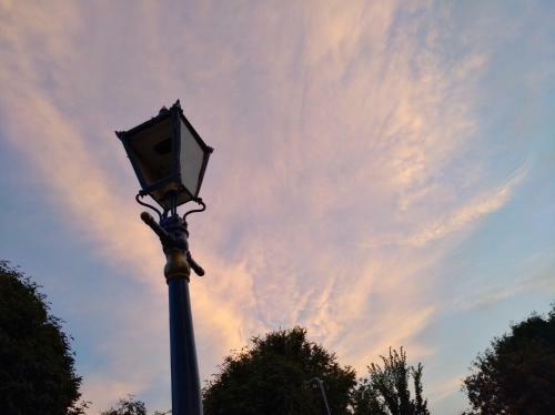 Hostal Driftwood Hotel