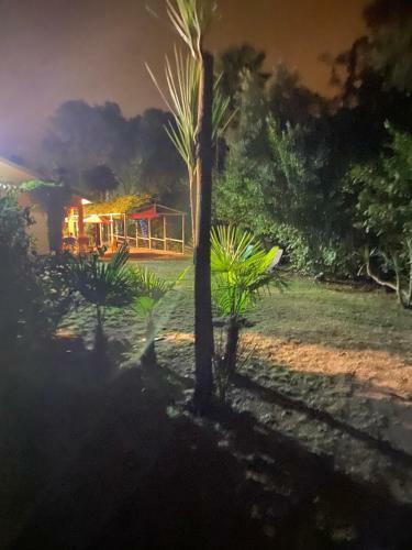 Apartamento Studio 1.5 Km Mer Et 2 Km Cascade