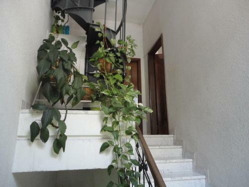 Bed & Breakfast Le Ortensie Di Via Rossetti