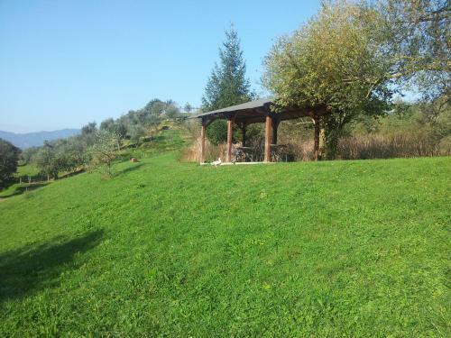 Agroturismo Agriturismo Il Picchio Verde