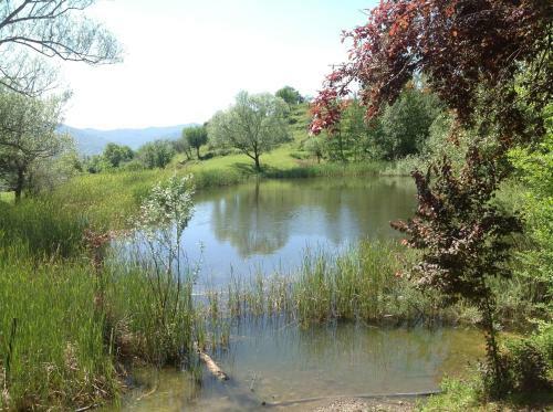 Agroturismo Agriturismo Il Picchio Verde