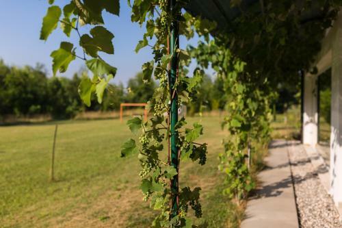 Agroturismo Settecentoalberi